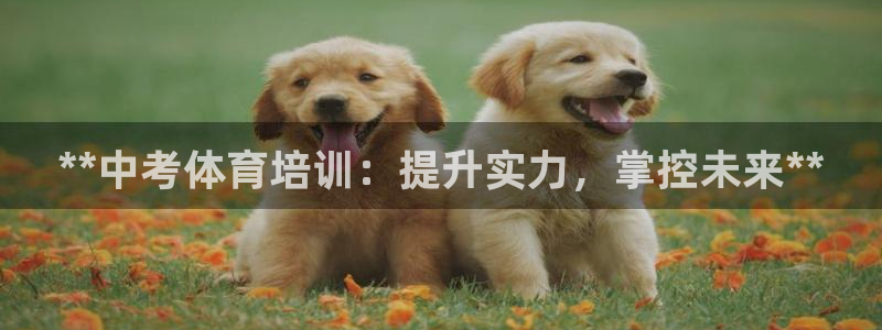 耀世娱乐辅助软件下载：**中考体育培训：提升实力，掌