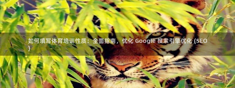 耀世平台梦 5O6917 平台：如何填写体育培训性质