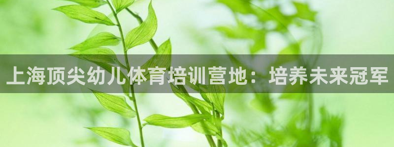 耀世平台代理怎么做任务：上海顶尖幼儿体育培训营地：培