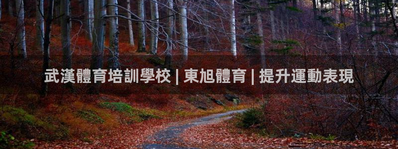 耀世平台管 411O31 平台：武漢體育培訓學校 |