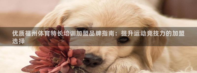 耀世娱乐挂机脚本：优质福州体育特长培训加盟品牌指南：