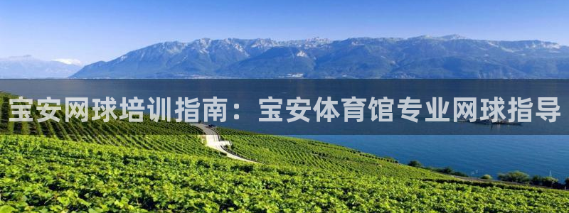 耀世平台注册登录：宝安网球培训指南：宝安体育馆专业网
