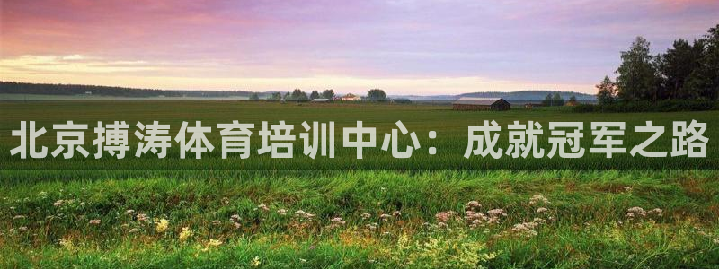 耀世娱乐app下载安装：北京搏涛体育培训中心：成就冠