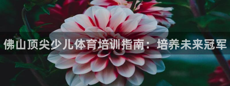 耀世娱乐提现失败原因：佛山顶尖少儿体育培训指南：培养