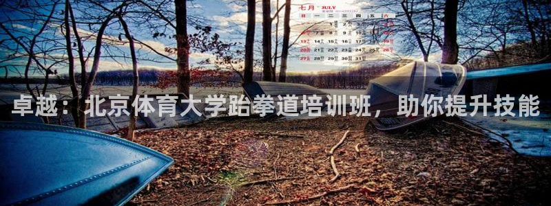 耀世娱乐可以玩吗：卓越：北京体育大学跆拳道培训班，助
