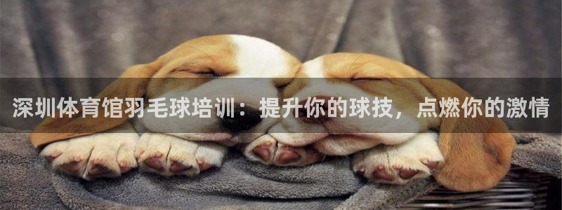 耀世娱乐辅助软件下载官网：深圳体育馆羽毛球培训：提升