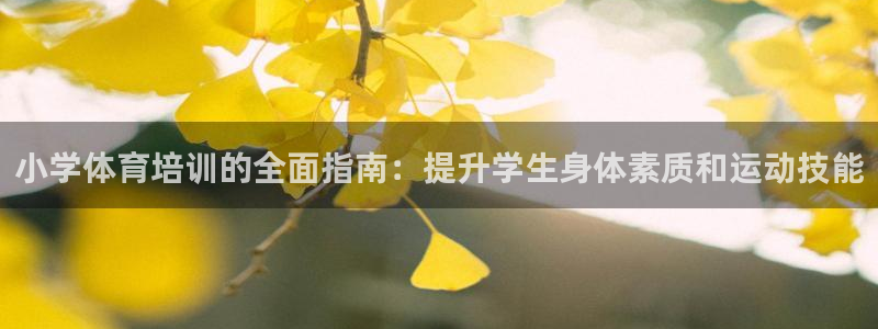 耀世燃气灶是哪个牌子
