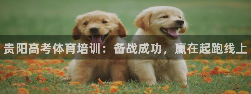 耀世平台哪个彩种是公平彩