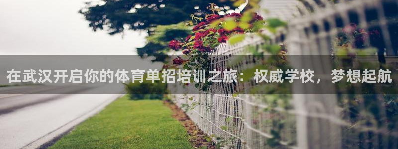耀世平台主管代理怎么做：在武汉开启你的体育单招培训之