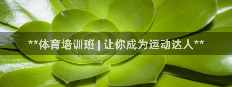 耀世平台代理怎么样啊：**体育培训班 | 让你成为运