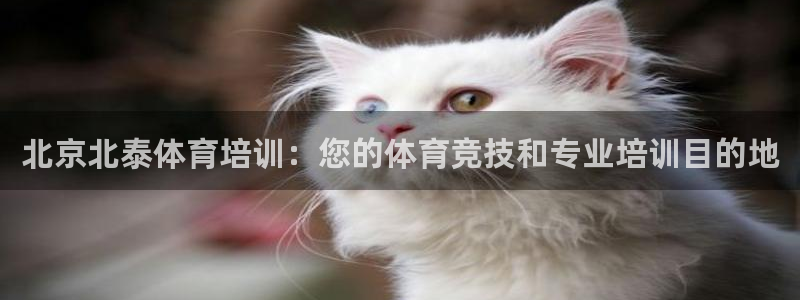 耀世娱乐是玛雅旗下的吗：北京北泰体育培训：您的体育竞
