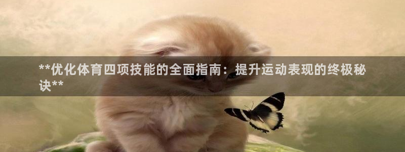 耀世广告：**优化体育四项技能的全面指南：提升运动表