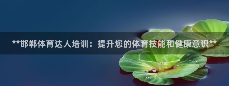 耀世国际平台正规吗可信吗安全吗：**邯郸体育达人培训