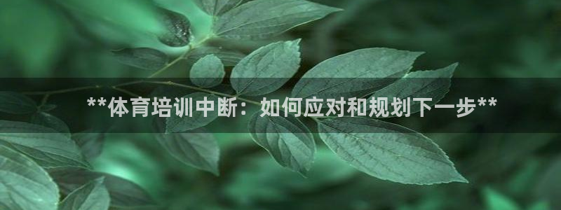 耀世天下图片头像：    **体育培训中断：如何应对