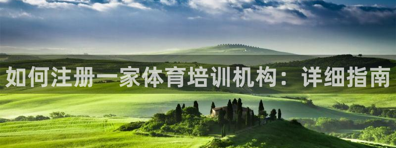 耀世天下的网名是什么意思啊：如何注册一家体育培训机构