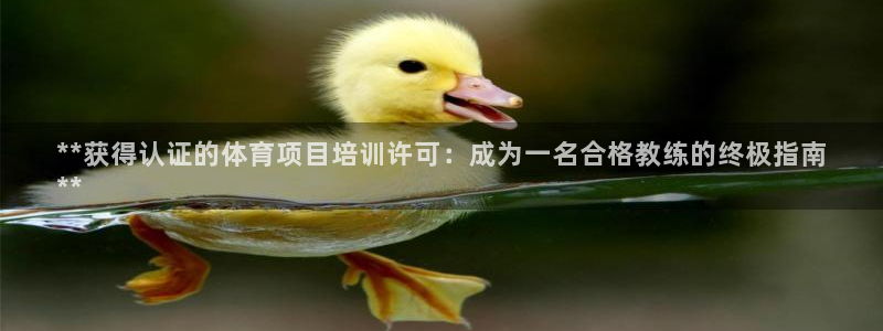 耀世集团是什么电影院：**获得认证的体育项目培训许可