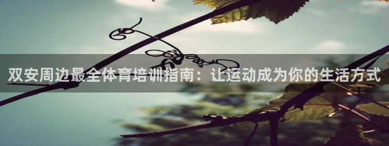 耀世平台代理怎么样啊：双安周边最全体育培训指南：让运