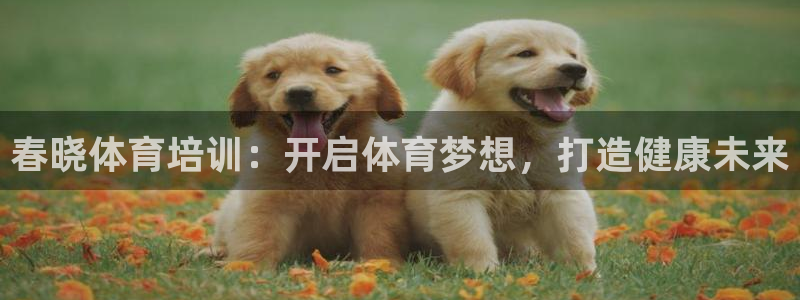 耀世平台登录地址在哪：春晓体育培训：开启体育梦想，打