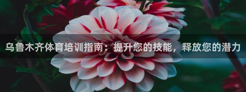 耀世平台注册开户需要什么：乌鲁木齐体育培训指南：提升