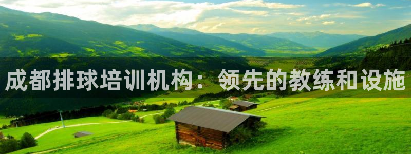 耀世娱乐挂机脚本：成都排球培训机构：领先的教练和设施