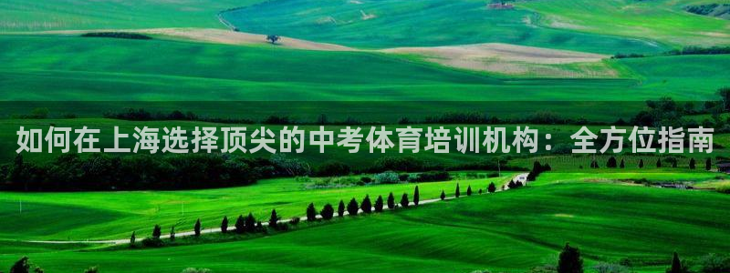 耀世平台的运营模式有哪些：如何在上海选择顶尖的中考体