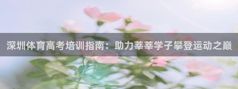 耀世燃气灶是哪个牌子：深圳体育高考培训指南：助力莘莘