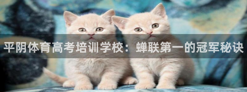 耀世娱乐联 585341：平阴体育高考培训学校：蝉联