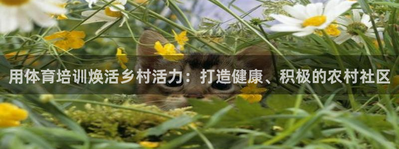 耀世平台无7O777：用体育培训焕活乡村活力：打造健