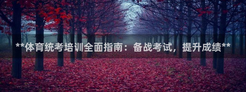 耀世辉煌：**体育统考培训全面指南：备战考试，提升成
