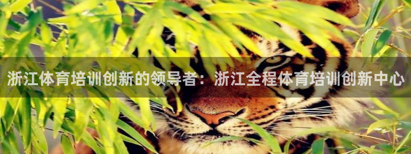 耀世娱乐平台主管：浙江体育培训创新的领导者：浙江全程