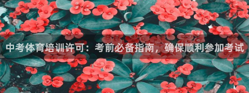 耀世平台负责人怎么样：中考体育培训许可：考前必备指南