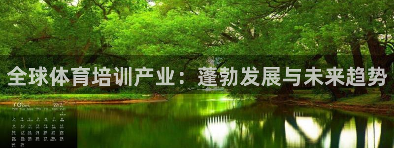 耀世平台无7O777：全球体育培训产业：蓬勃发展与未