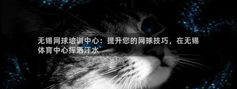 耀世娱乐挂机教程下载：无锡网球培训中心：提升您的网球