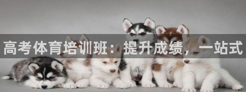 耀世娱乐安全吗可靠吗：高考体育培训班：提升成绩，一站