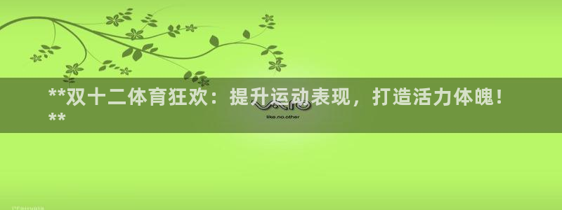 耀世游戏：**双十二体育狂欢：提升运动表现，打造活力