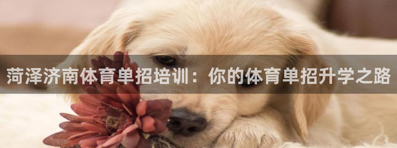 耀世娱乐辅助软件下载官网：菏泽济南体育单招培训：你的