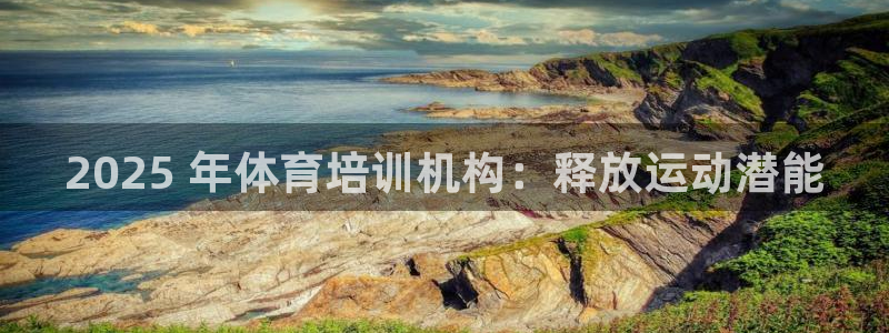 耀世天下网名好吗：2025 年体育培训机构：释放运动