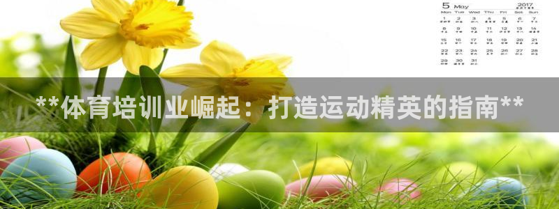 耀世娱乐挂机教程：**体育培训业崛起：打造运动精英的
