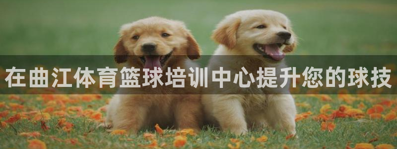耀世平台是黑台子吗知乎：在曲江体育篮球培训中心提升您