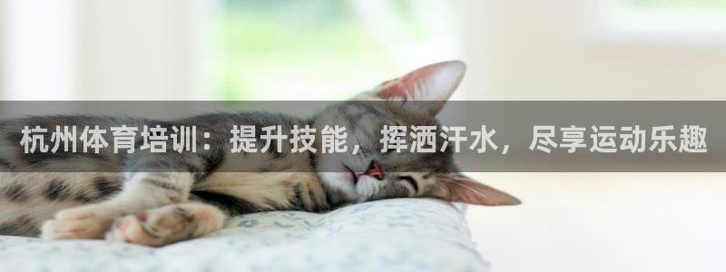 耀世平台注册链接怎么打开：杭州体育培训：提升技能，挥