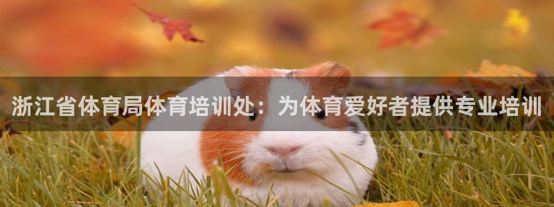 耀世娱乐是正规还是仿真：浙江省体育局体育培训处：为体