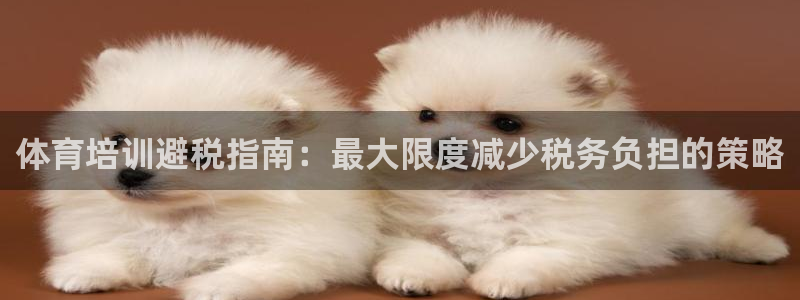耀世娱乐注册入口官网：体育培训避税指南：最大限度减少