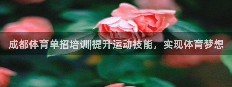 耀世集团董事长儿子：成都体育单招培训|提升运动技能，