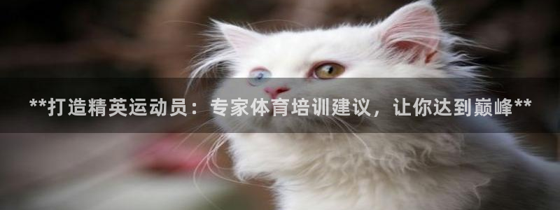 耀世意思：**打造精英运动员：专家体育培训建议，让你