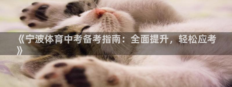 耀世官网：《宁波体育中考备考指南：全面提升，轻松应考