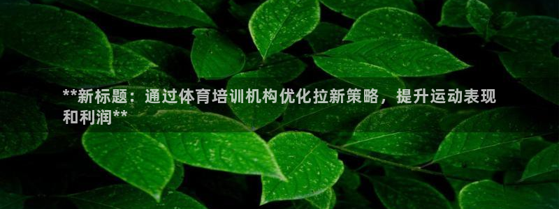 耀世娱乐脚本下载：**新标题：通过体育培训机构优化拉