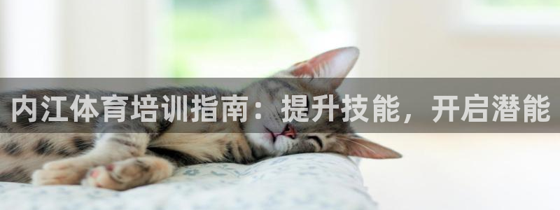 耀世国际平台正规吗可靠吗：内江体育培训指南：提升技能