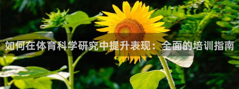 耀世开盘是什么意思：如何在体育科学研究中提升表现：全