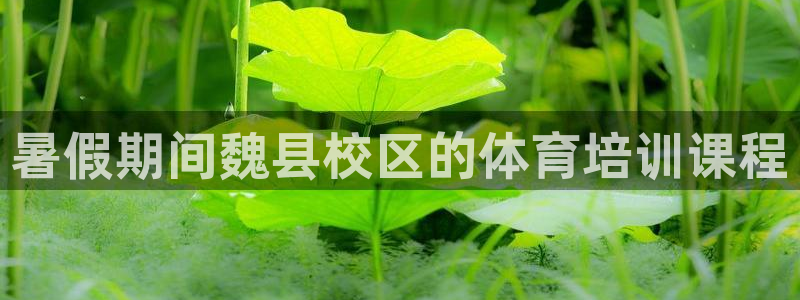 耀世娱乐提款怎么取消：暑假期间魏县校区的体育培训课程