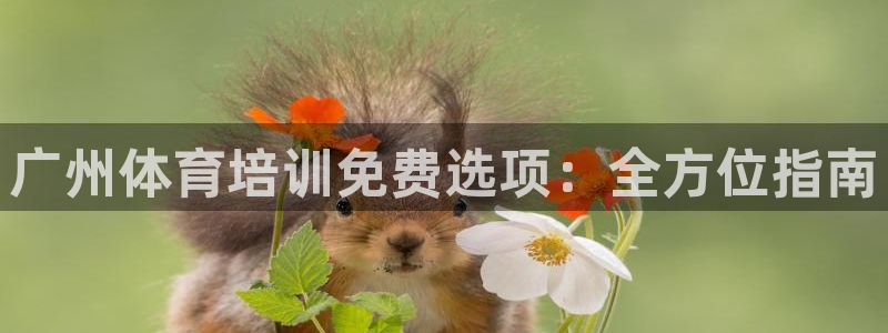 耀世盛典手游：广州体育培训免费选项：全方位指南